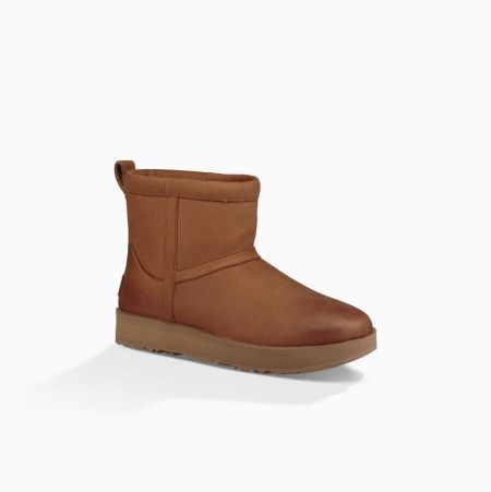 UGG Classic Mini Leather - Gummistøvler Dame - Brune (NO-J886)